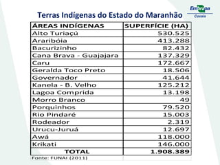 Terras Indígenas do Estado do Maranhão
ÁREAS INDÍGENAS
Alto Turiaçú
Araribóia
Bacurizinho
Cana Brava - Guajajara
Caru
Geralda Toco Preto
Governador
Kanela - B. Velho
Lagoa Comprida
Morro Branco
Porquinhos
Rio Pindaré
Rodeador
Urucu-Juruá
Awá
Krikati
TOTAL
Fonte: FUNAI (2011)

SUPERFÍCIE (HA)
530.525
413.288
82.432
137.329
172.667
18.506
41.644
125.212
13.198
49
79.520
15.003
2.319
12.697
118.000
146.000
1.908.389

 
