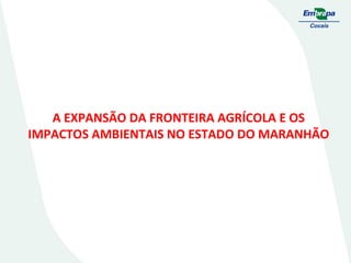 A EXPANSÃO DA FRONTEIRA AGRÍCOLA E OS
IMPACTOS AMBIENTAIS NO ESTADO DO MARANHÃO

 