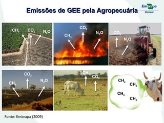 Emissões de GEE pela Agropecuária
CH4

CO2

N2O

CH4

N2O

N2 O

CO2
N2O

CH4

CO2
CH4

CO2

CO2

CH4
CH4

Fonte: Embrapa (2009)

CH4
CH4

 