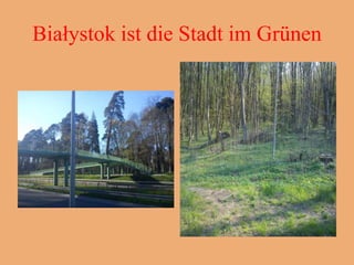 Białystok ist die Stadt im Grünen
 