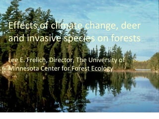 Effects of climate change, deer
and invasive species on forests
Lee E. Frelich, Director, The University of
Minnesota Center for Forest Ecology
 