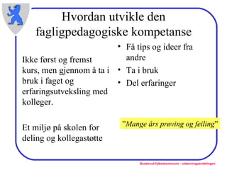 Hvordan utvikle den fagligpedagogiske kompetanse Ikke først og fremst kurs, men gjennom å ta i bruk i faget og  erfaringsutveksling med kolleger. Et miljø på skolen for deling og kollegastøtte Få tips og ideer fra andre Ta i bruk Del erfaringer ” Mange års prøving og feiling ” 