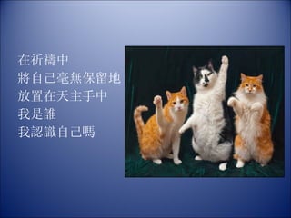 在祈禱中 將自己毫無保留地 放置在天主手中 我是誰 我認識自己嗎  