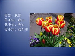 你知、我知 你不知、我知 我不知、你知 你不知、我不知  