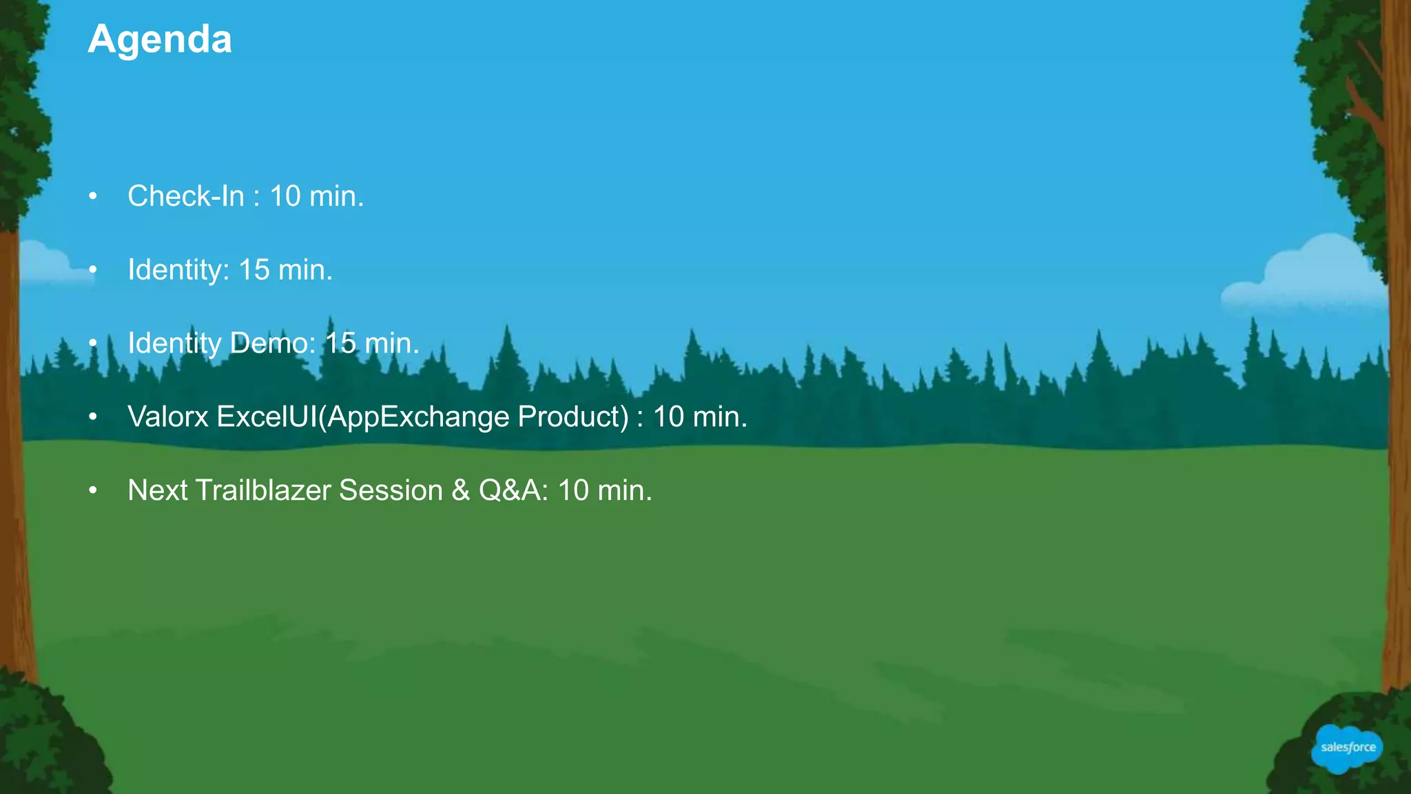 • Check-In : 10 min.
• Identity: 15 min.
• Identity Demo: 15 min.
• Valorx ExcelUI(AppExchange Product) : 10 min.
• Next Trailblazer Session & Q&A: 10 min.
Agenda
 