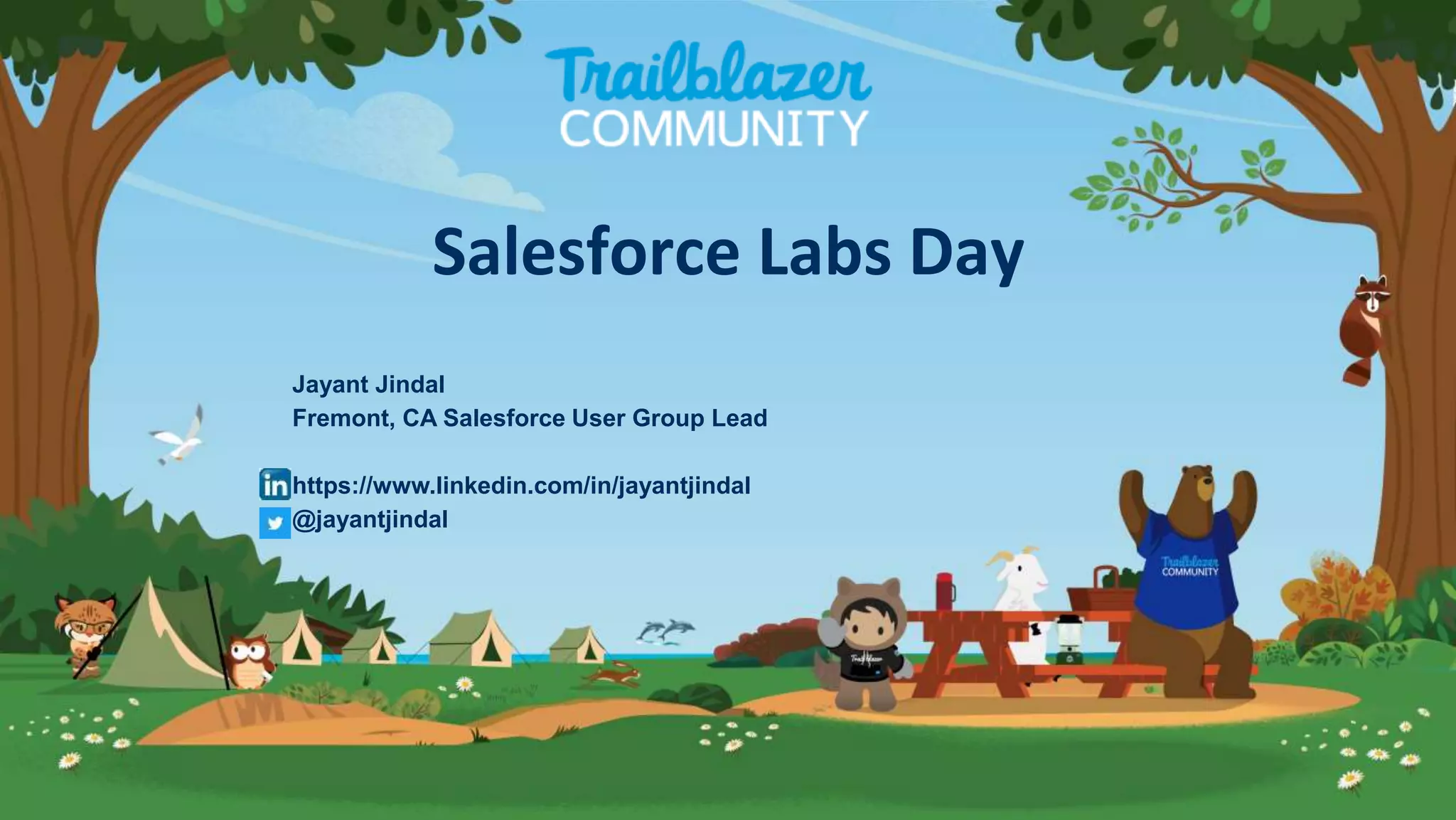 Jayant Jindal
Fremont, CA Salesforce User Group Lead
https://www.linkedin.com/in/jayantjindal
@jayantjindal
Salesforce Labs Day
 