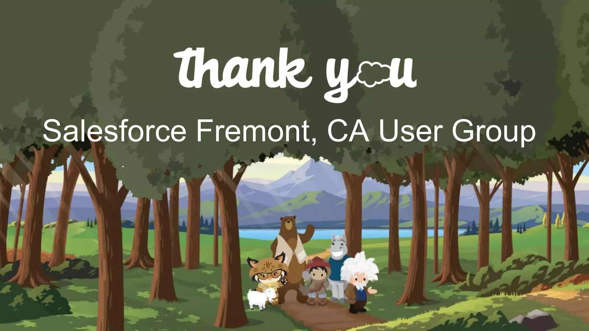 Salesforce Fremont, CA User Group
 