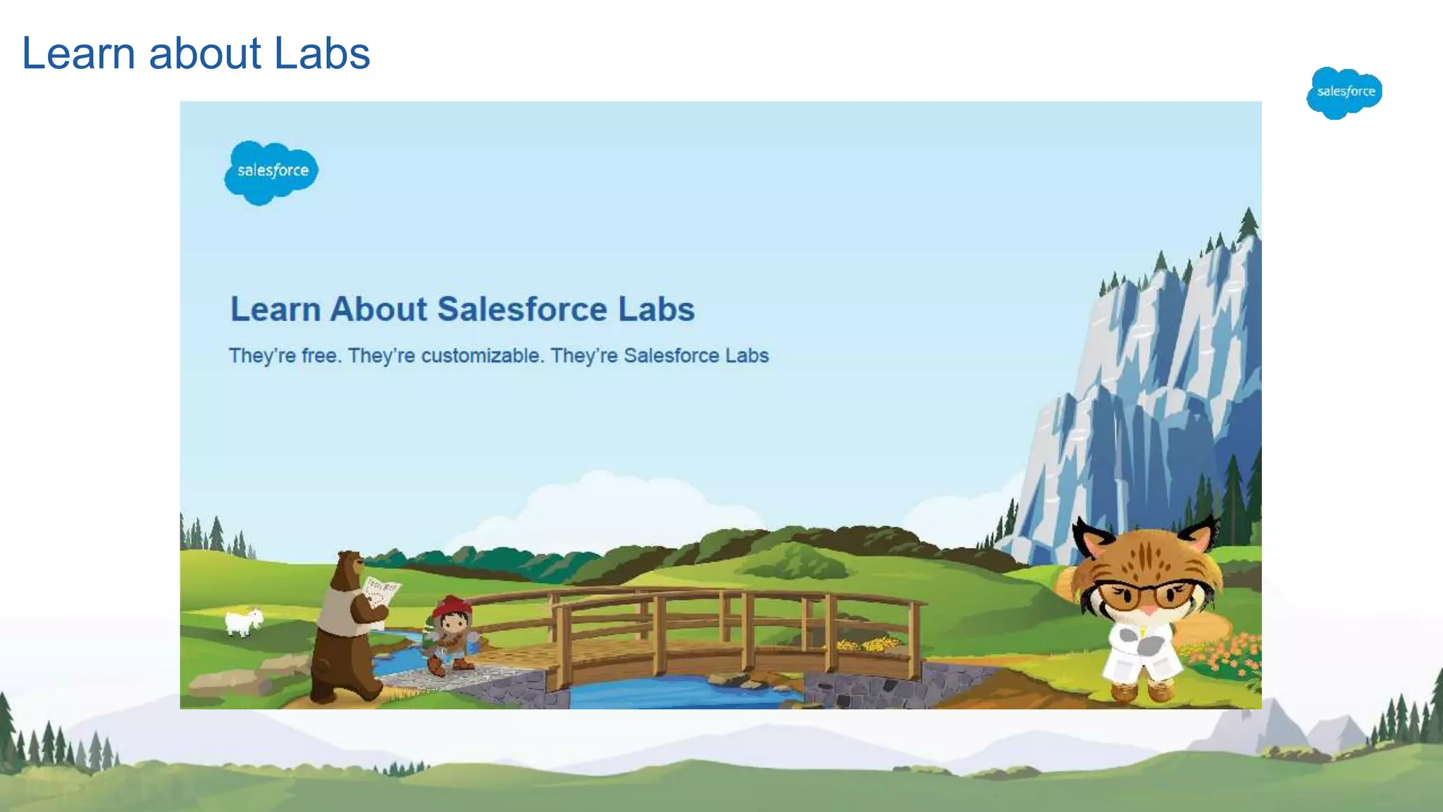 Learn about Labs
 