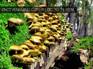 ØKOTÆNKNING GØR TO OG TO TIL FEM
 