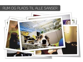 RUM OG PLADS TIL ALLE SANSER
 