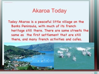 When did they come? In 1838 Captain Jean Francois Langlois a french whaler was commanding the whaling ship ' Cachalot'  off the coast of NZ and Australia. While there he caught 45 whales in 22 months. Captain Langlois decided that NZ's south island would be perfect for France to colonize. 
