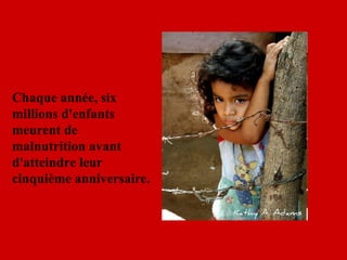 Chaque année, six millions d'enfants meurent de malnutrition avant d'atteindre leur cinquième anniversaire.   