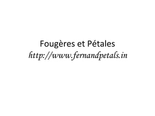 Fougères et Pétales
http://www.fernandpetals.in
 