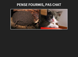 PENSE FOURMIS, PAS CHAT
 