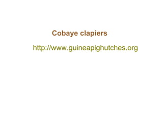 http://www.guineapighutches.org
Cobaye clapiers
 
