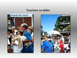 Touristes en délire  Parade des chiens 