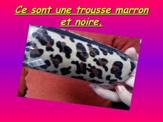 Ce sont une trousse marron et noire. 