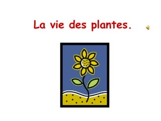 La vie des plantes.

 