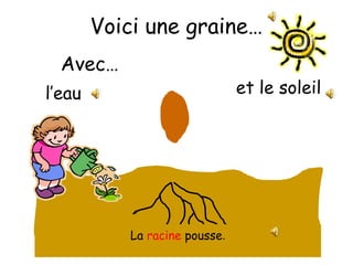 Voici une graine…
Avec…

et le soleil

l’eau

La racine pousse.

 