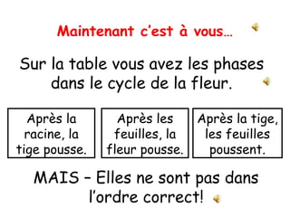 Maintenant c’est à vous…

Sur la table vous avez les phases
dans le cycle de la fleur.
Après la
racine, la
tige pousse.

Après les
feuilles, la
fleur pousse.

Après la tige,
les feuilles
poussent.

MAIS – Elles ne sont pas dans
l’ordre correct!

 