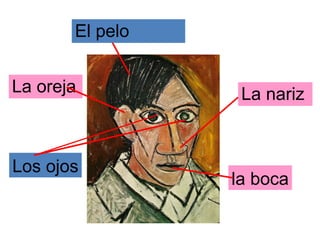 El pelo
La oreja

Los ojos

La nariz

la boca

 