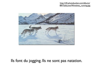 http://i45.photobucket.com/albums/
                               f89/TailsLover94/wolves_running.jpg




Ils font du jogging. Ils ne sont pas natation.
 