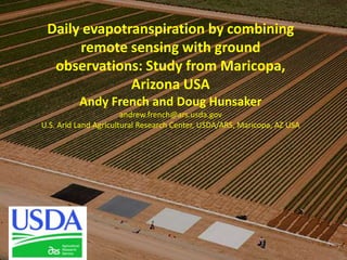 Daily evapotranspiration by combining
remote sensing with ground
observations: Study from Maricopa,
Arizona USA
Andy French and Doug Hunsaker
andrew.french@ars.usda.gov
U.S. Arid Land Agricultural Research Center, USDA/ARS, Maricopa, AZ USA

 