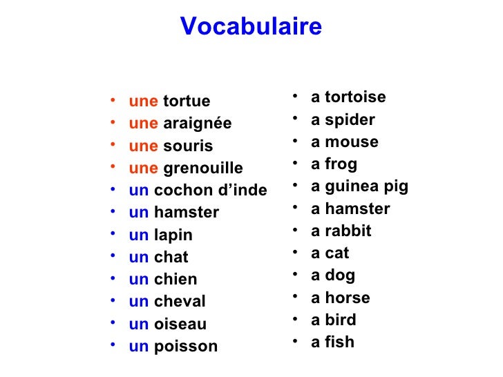French Animal A La Maison All