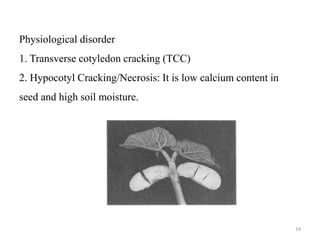 14
Physiological disorder
1. Transverse cotyledon cracking (TCC)
2. Hypocotyl Cracking/Necrosis: It is low calcium content in
seed and high soil moisture.
 