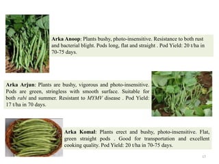 17
Arka Anoop: Plants bushy, photo-insensitive. Resistance to both rust
and bacterial blight. Pods long, flat and straight . Pod Yield: 20 t/ha in
70-75 days.
Arka Arjun: Plants are bushy, vigorous and photo-insensitive.
Pods are green, stringless with smooth surface. Suitable for
both rabi and summer. Resistant to MYMV disease . Pod Yield:
17 t/ha in 70 days.
Arka Komal: Plants erect and bushy, photo-insensitive. Flat,
green straight pods . Good for transportation and excellent
cooking quality. Pod Yield: 20 t/ha in 70-75 days.
 