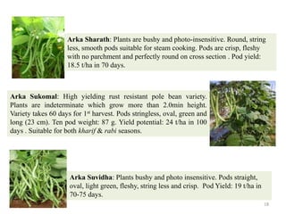 18
Arka Sharath: Plants are bushy and photo-insensitive. Round, string
less, smooth pods suitable for steam cooking. Pods are crisp, fleshy
with no parchment and perfectly round on cross section . Pod yield:
18.5 t/ha in 70 days.
Arka Sukomal: High yielding rust resistant pole bean variety.
Plants are indeterminate which grow more than 2.0min height.
Variety takes 60 days for 1st harvest. Pods stringless, oval, green and
long (23 cm). Ten pod weight: 87 g. Yield potential: 24 t/ha in 100
days . Suitable for both kharif & rabi seasons.
Arka Suvidha: Plants bushy and photo insensitive. Pods straight,
oval, light green, fleshy, string less and crisp. Pod Yield: 19 t/ha in
70-75 days.
 