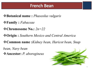 Botanical name : Phaseolus vulgaris
Family : Fabaceae
Chromosome No.: 2n=22
Origin : Southern Mexico and Central America
Common name :Kidney bean, Haricot bean, Snap
bean, Navy bean
Ancestor: P. aborogineus
3
 