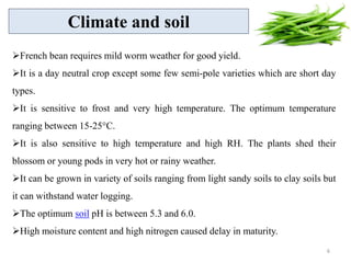 French bean requires mild worm weather for good yield.
It is a day neutral crop except some few semi-pole varieties which are short day
types.
It is sensitive to frost and very high temperature. The optimum temperature
ranging between 15-25°C.
It is also sensitive to high temperature and high RH. The plants shed their
blossom or young pods in very hot or rainy weather.
It can be grown in variety of soils ranging from light sandy soils to clay soils but
it can withstand water logging.
The optimum soil pH is between 5.3 and 6.0.
High moisture content and high nitrogen caused delay in maturity.
Climate and soil
6
 