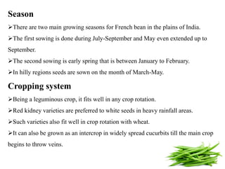 Season
There are two main growing seasons for French bean in the plains of India.
The first sowing is done during July-September and May even extended up to
September.
The second sowing is early spring that is between January to February.
In hilly regions seeds are sown on the month of March-May.
Cropping system
Being a leguminous crop, it fits well in any crop rotation.
Red kidney varieties are preferred to white seeds in heavy rainfall areas.
Such varieties also fit well in crop rotation with wheat.
It can also be grown as an intercrop in widely spread cucurbits till the main crop
begins to throw veins.
7
 