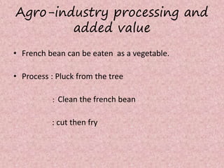 Agro-industry processing and
added value
• French bean can be eaten as a vegetable.
• Process : Pluck from the tree
: Clean the french bean
: cut then fry
 