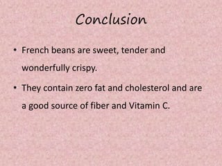 Conclusion
• French beans are sweet, tender and
wonderfully crispy.
• They contain zero fat and cholesterol and are
a good source of fiber and Vitamin C.
 