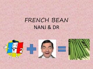 FRENCH BEAN
NANJ & DR
 
