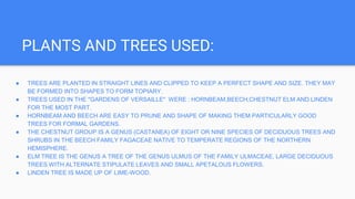 PLANTS AND TREES USED:
● TREES ARE PLANTED IN STRAIGHT LINES AND CLIPPED TO KEEP A PERFECT SHAPE AND SIZE. THEY MAY
BE FORMED INTO SHAPES TO FORM TOPIARY.
● TREES USED IN THE "GARDENS OF VERSAILLE" WERE : HORNBEAM,BEECH,CHESTNUT ELM AND LINDEN
FOR THE MOST PART.
● HORNBEAM AND BEECH ARE EASY TO PRUNE AND SHAPE OF MAKING THEM PARTICULARLY GOOD
TREES FOR FORMAL GARDENS.
● THE CHESTNUT GROUP IS A GENUS (CASTANEA) OF EIGHT OR NINE SPECIES OF DECIDUOUS TREES AND
SHRUBS IN THE BEECH FAMILY FAGACEAE NATIVE TO TEMPERATE REGIONS OF THE NORTHERN
HEMISPHERE.
● ELM TREE IS THE GENUS A TREE OF THE GENUS ULMUS OF THE FAMILY ULMACEAE, LARGE DECIDUOUS
TREES WITH ALTERNATE STIPULATE LEAVES AND SMALL APETALOUS FLOWERS.
● LINDEN TREE IS MADE UP OF LIME-WOOD.
 