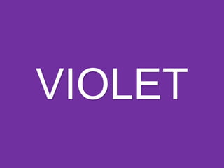 VIOLET
 
