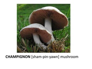 CHAMPIGNON [sham-pin-yawn] mushroom
 