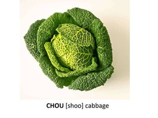 CHOU [shoo] cabbage
 