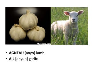 • AGNEAU [anyo] lamb
• AIL [ahyuh] garlic
 