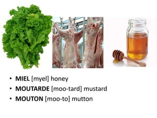 • MIEL [myel] honey
• MOUTARDE [moo-tard] mustard
• MOUTON [moo-to] mutton
 