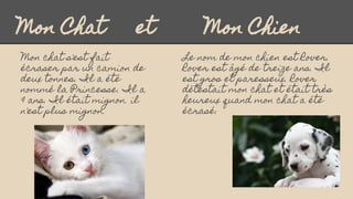 Mon Chat et Mon Chien
Le nom de mon chien est Rover.
Rover est âgé de treize ans. Il
est gros et paresseux. Rover
détestai...