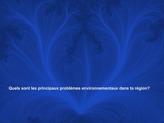 Quels sont les principaux problèmes environnementaux dans ta région?   