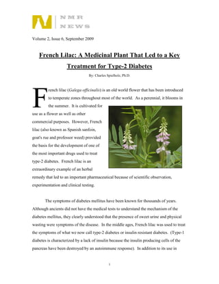 Volume 2, Issue 6, September 2009


    French Lilac: A Medicinal Plant That Led to a Key
                    Treatment for Type-2 Diabetes
                                   By: Charles Spielholz, Ph.D.




F
         rench lilac (Galega officinalis) is an old world flower that has been introduced
         to temperate zones throughout most of the world. As a perennial, it blooms in
         the summer. It is cultivated for
use as a flower as well as other
commercial purposes. However, French
lilac (also known as Spanish sanfoin,
goat's rue and professor weed) provided
the basis for the development of one of
the most important drugs used to treat
type-2 diabetes. French lilac is an
extraordinary example of an herbal
remedy that led to an important pharmaceutical because of scientific observation,
experimentation and clinical testing.


       The symptoms of diabetes mellitus have been known for thousands of years.
Although ancients did not have the medical tests to understand the mechanism of the
diabetes mellitus, they clearly understood that the presence of sweet urine and physical
wasting were symptoms of the disease. In the middle ages, French lilac was used to treat
the symptoms of what we now call type-2 diabetes or insulin resistant diabetes. (Type-1
diabetes is characterized by a lack of insulin because the insulin producing cells of the
pancreas have been destroyed by an autoimmune response). In addition to its use in


                                                1
 