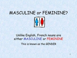 MASCULINE or FEMININE? Unlike English, French nouns are either  MASCULINE  or  FEMININE This is known as the GENDER 