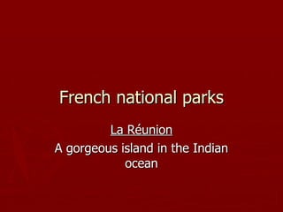 French national parks La Réunion A gorgeous island in the Indian ocean 