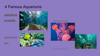 4 Famous Aquariums
aquarium de
la rochelle aq i d a s
aquarium de
lyon
aquarium de marseille
 