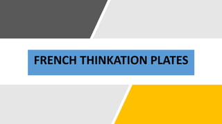 FRENCH THINKATION PLATES
 